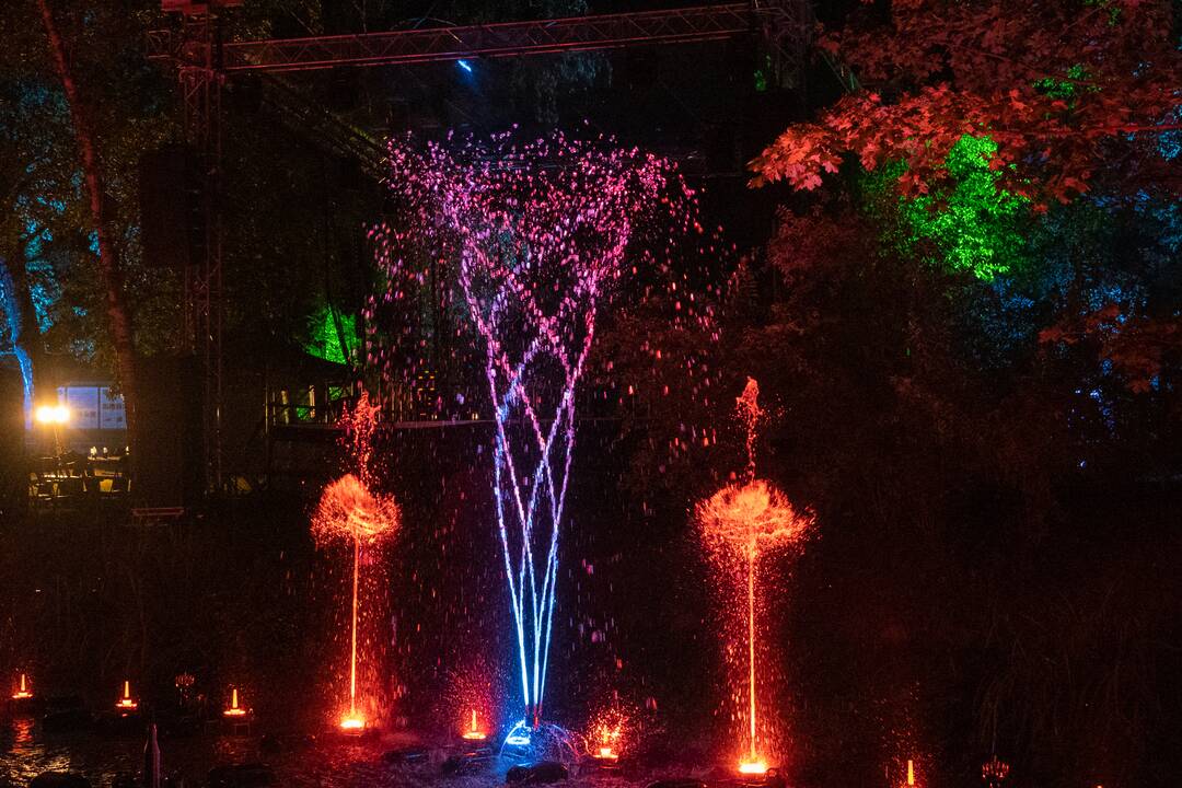 Botaninės naktys 2024. "Bobų vasara"