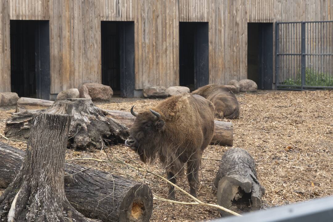 Lietuvos Zoologijos sodo atidarymas