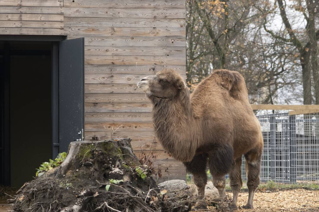 Lietuvos Zoologijos sodo atidarymas