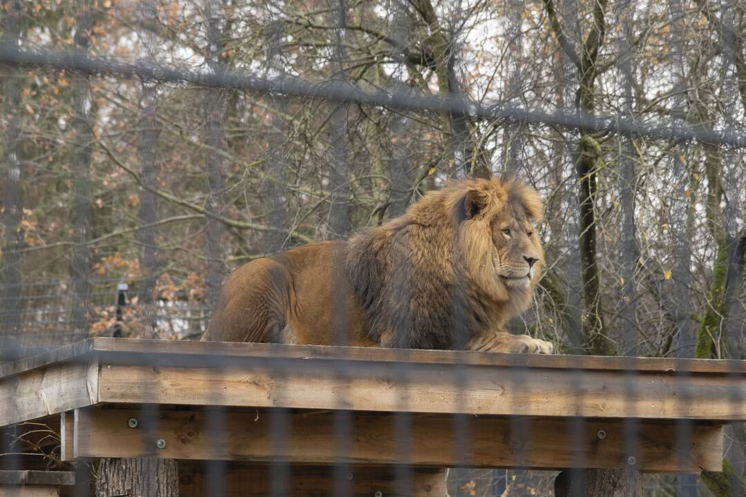 Lietuvos Zoologijos sodo atidarymas