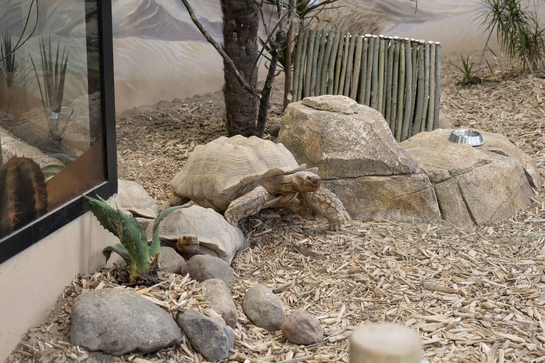 Lietuvos Zoologijos sodo atidarymas