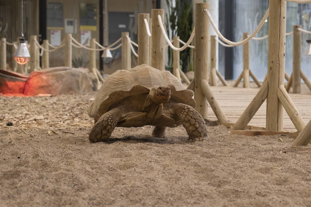 Lietuvos Zoologijos sodo atidarymas