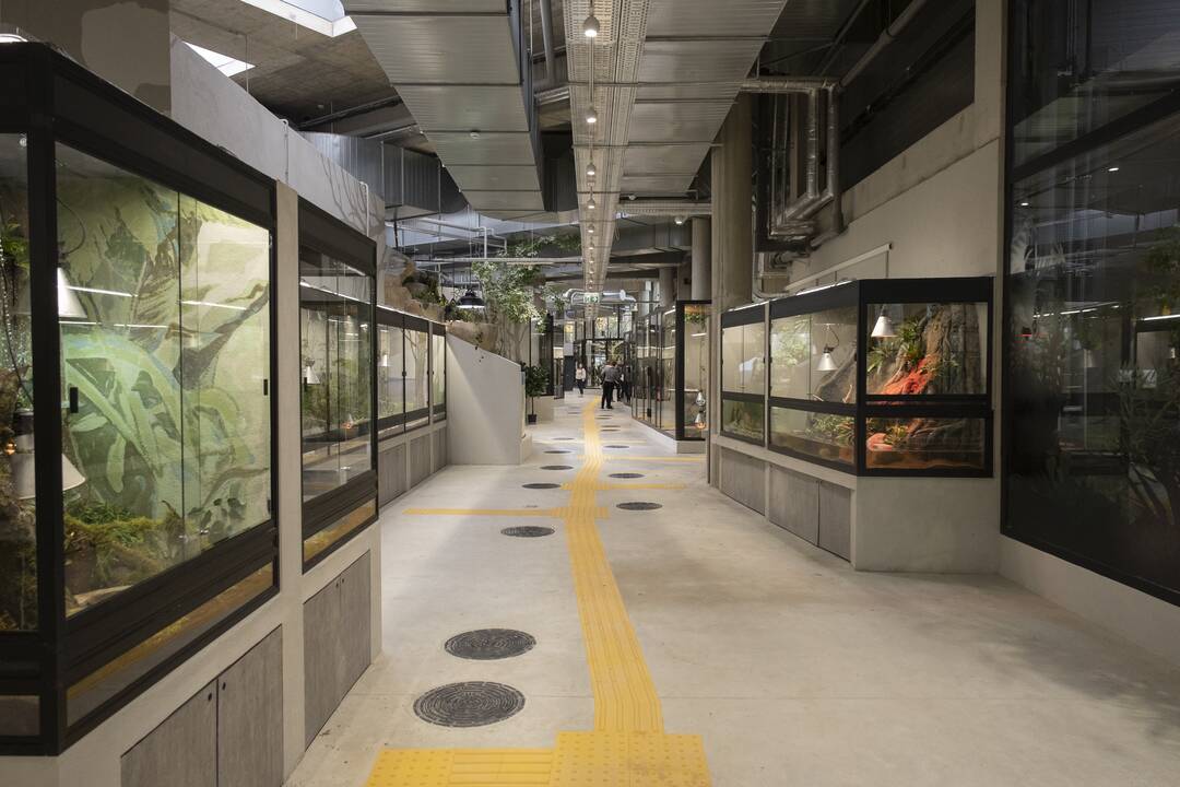 Lietuvos Zoologijos sodo atidarymas