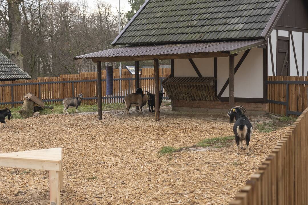 Lietuvos Zoologijos sodo atidarymas