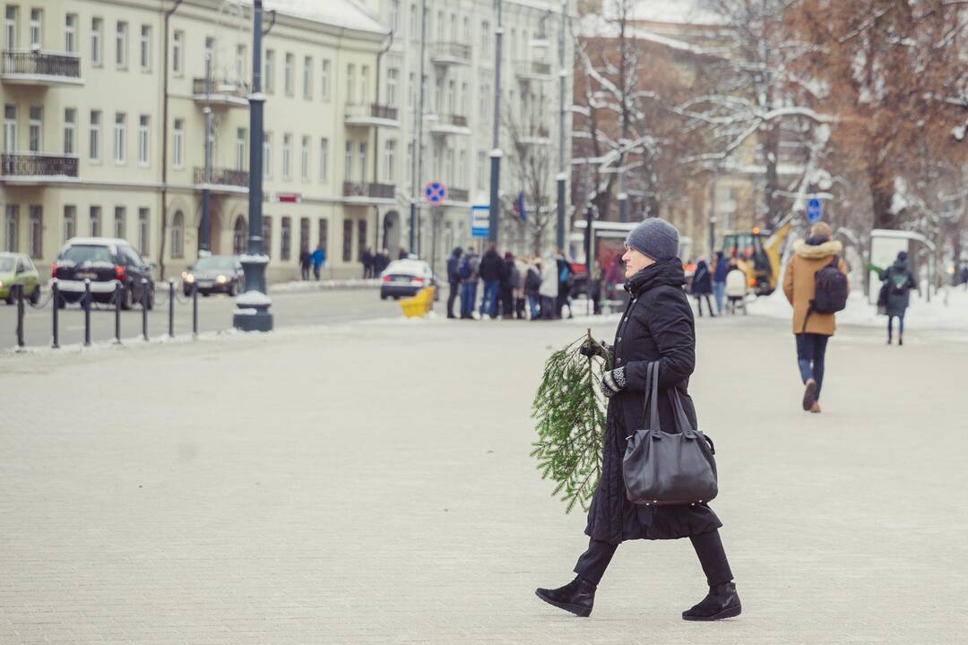 Miškininkai dalino eglių šakas