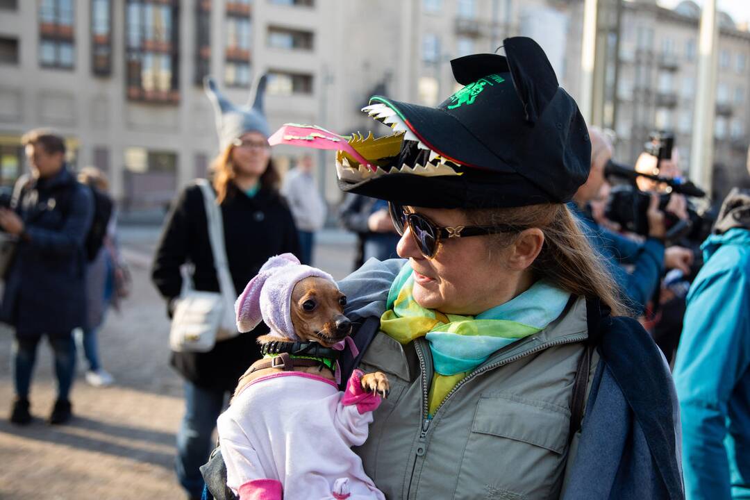 Protesto akcija „Girios ateina į Vilnių“