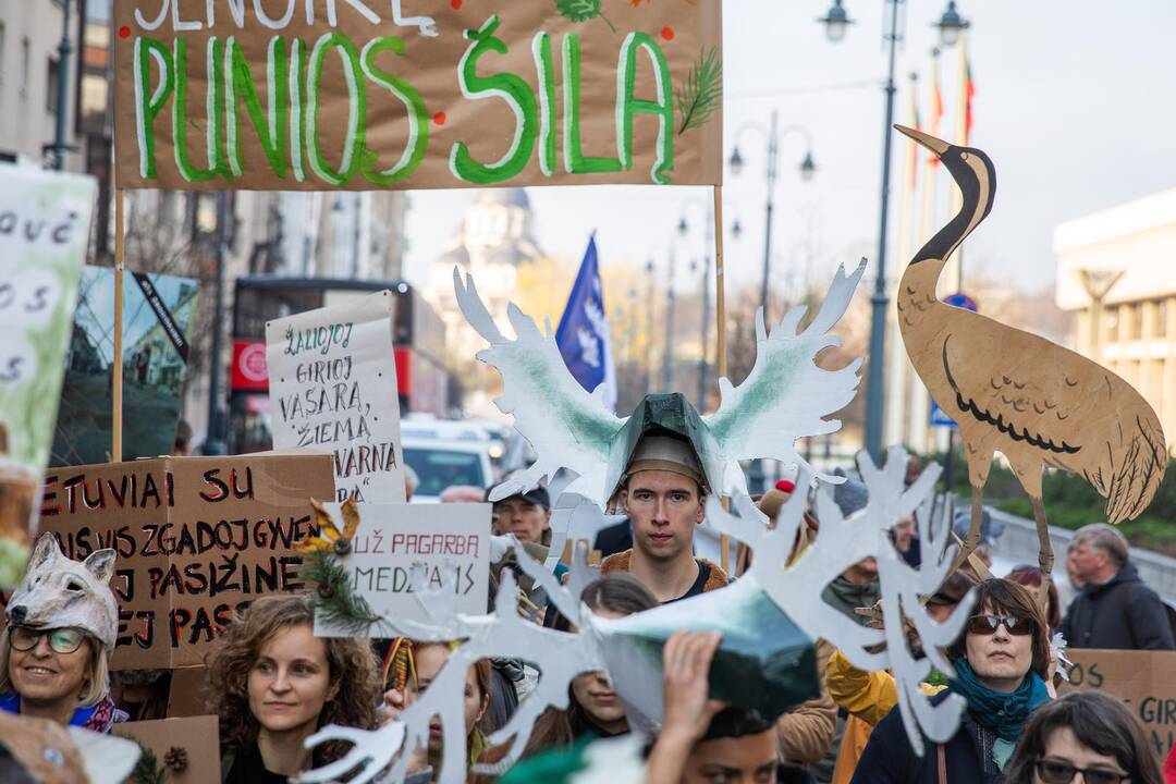 Protesto akcija „Girios ateina į Vilnių“