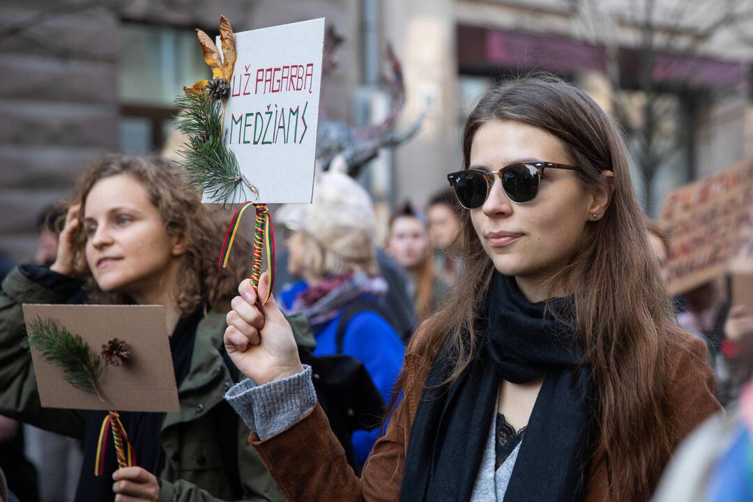 Protesto akcija „Girios ateina į Vilnių“