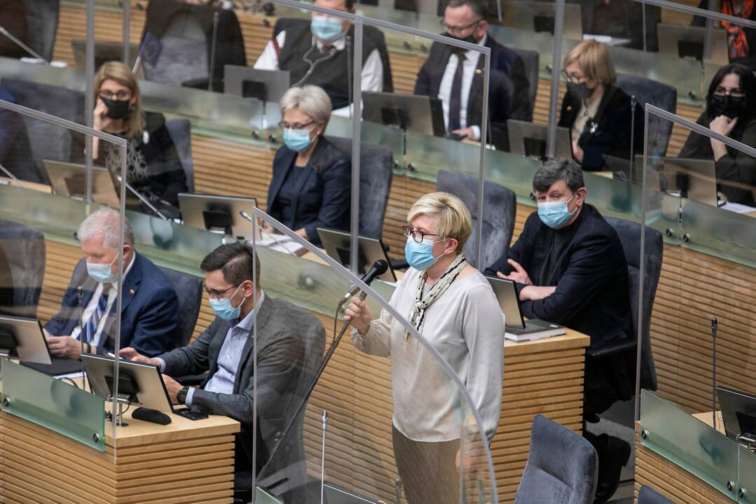 Premjerė įvardijo dešiniųjų Seimo privalumą: nešvaistėme laiko tyrimams