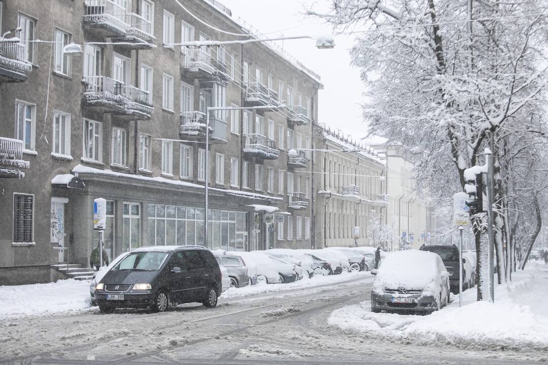 Gausus sniegas užklojo Vilnių