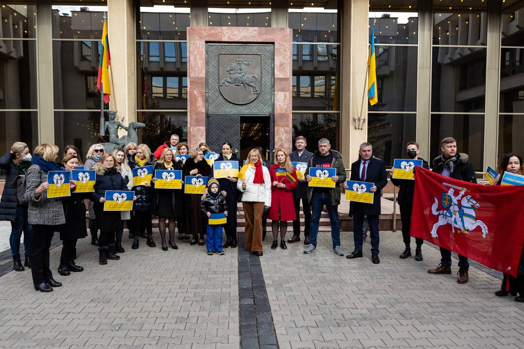 Seimo pirmininkė susitiko su Ukrainos ambasadoriumi