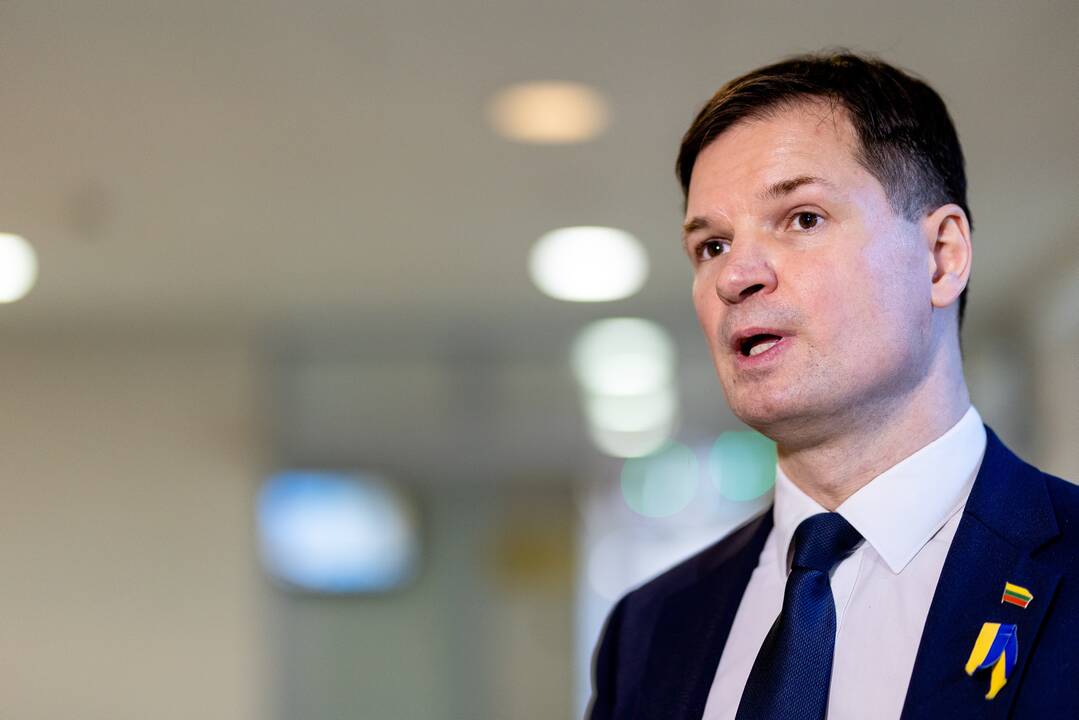 P. Saudargas: nusikalstama, kai verslas uždirba pelną penėdamas režimus