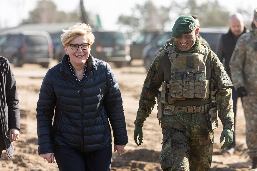 Premjerė apie diskusijas dėl vokiečių brigados: realias problemas reikia kelti