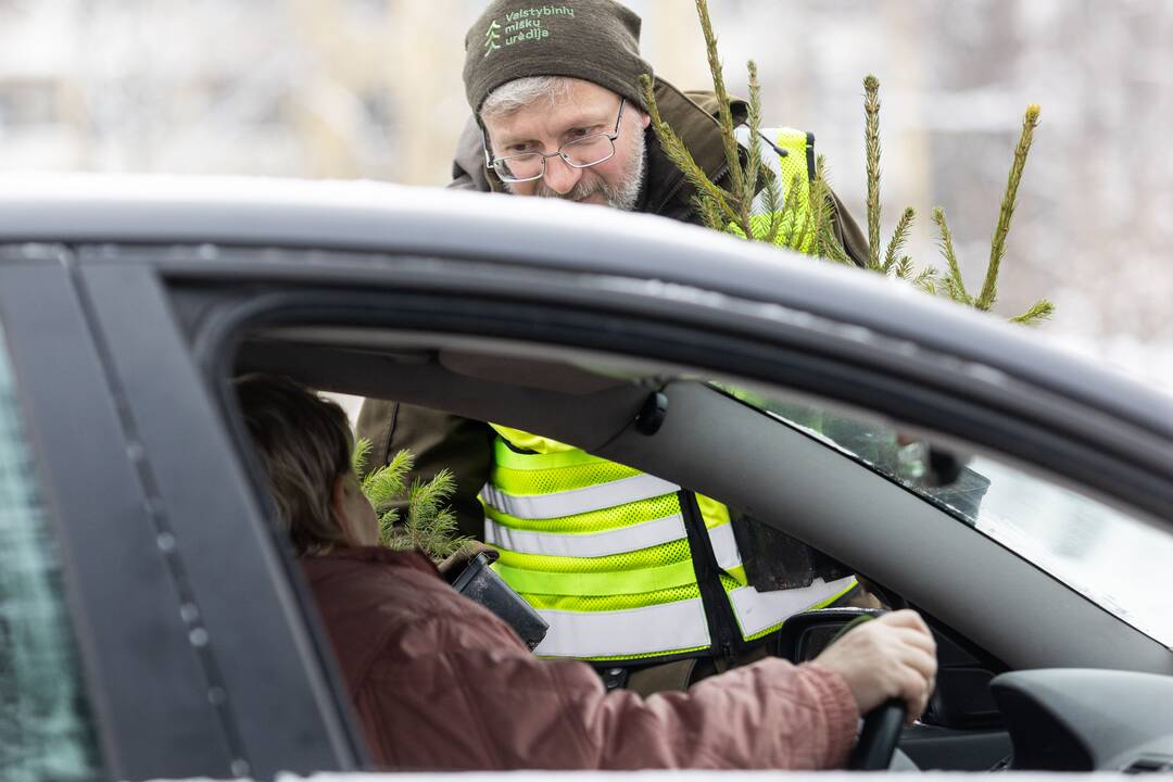 Policijos ir miškininkų akcija Vilniuje