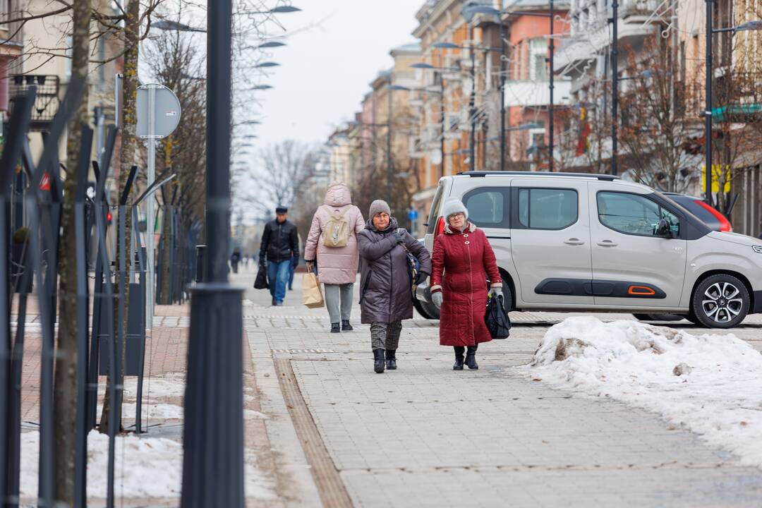 Šiauliai ruošiasi rinkimams
