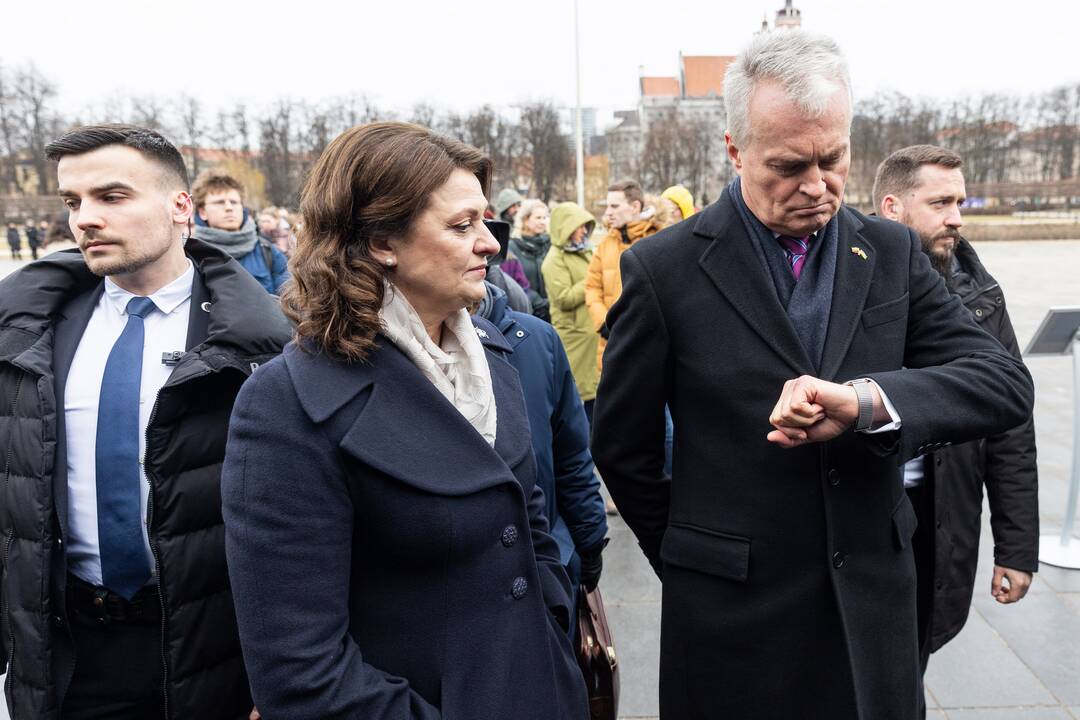 Tęsiasi išankstinis balsavimas savivaldos rinkimuose