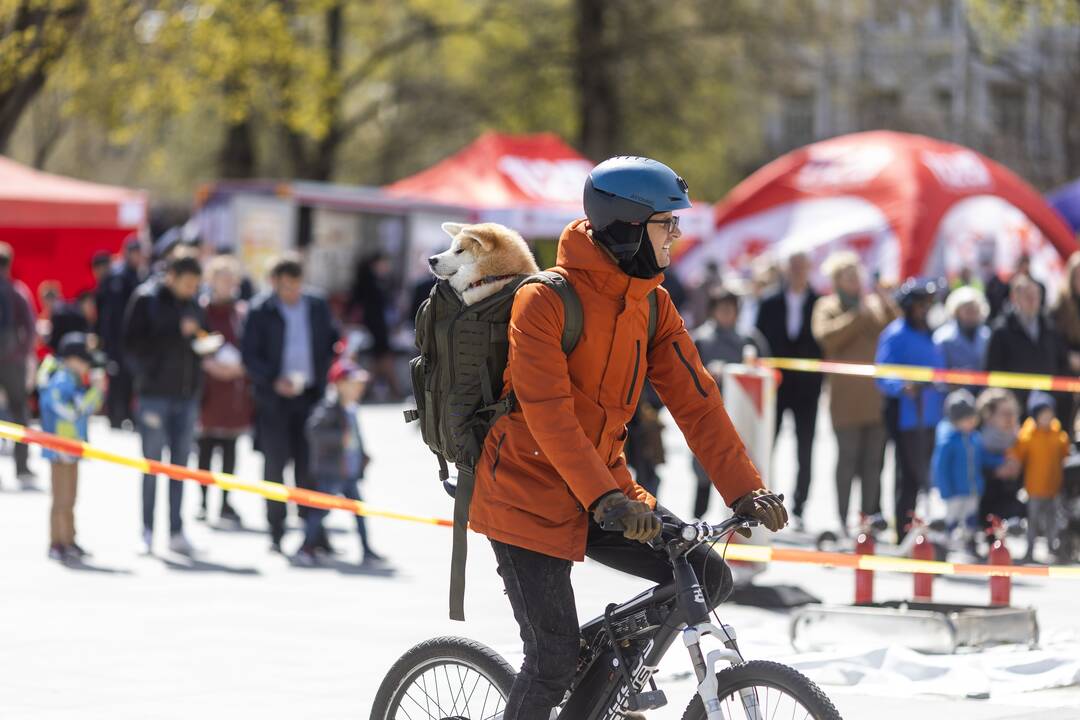 Šv. Florijono – ugniagesių globėjo diena