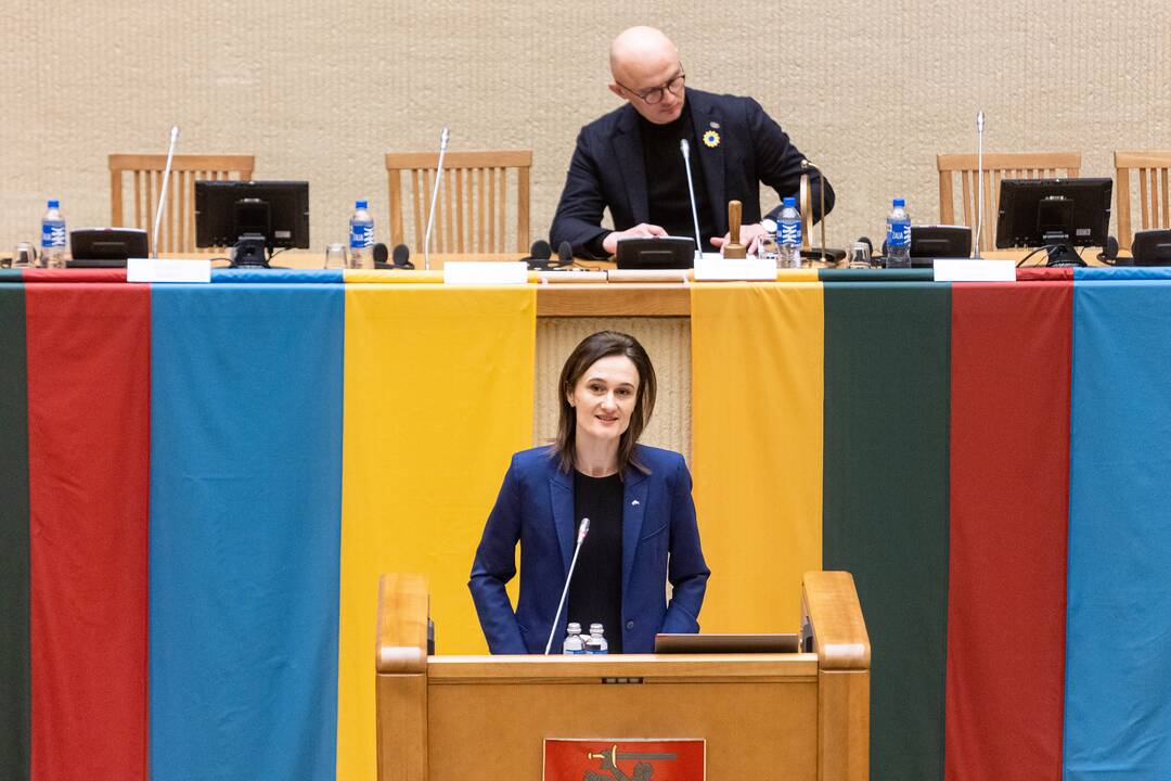 Konferencija „Metai karo Ukrainoje“ Seime