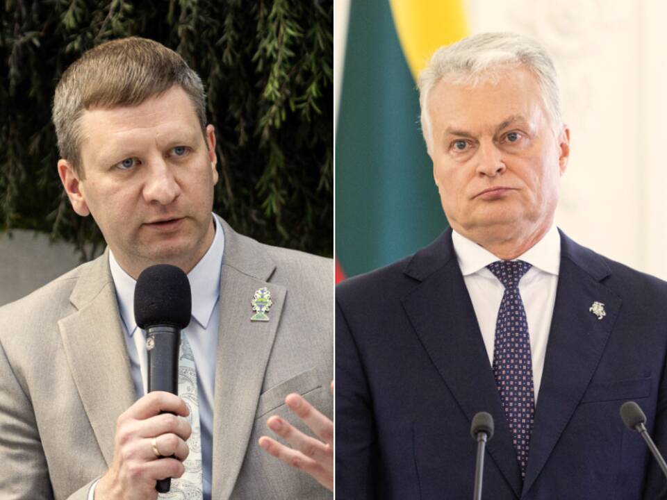 S. Kairys apie Prezidentūros kreipimąsi į VTEK: tai kuoliukų įsikalimas prieš rinkimus