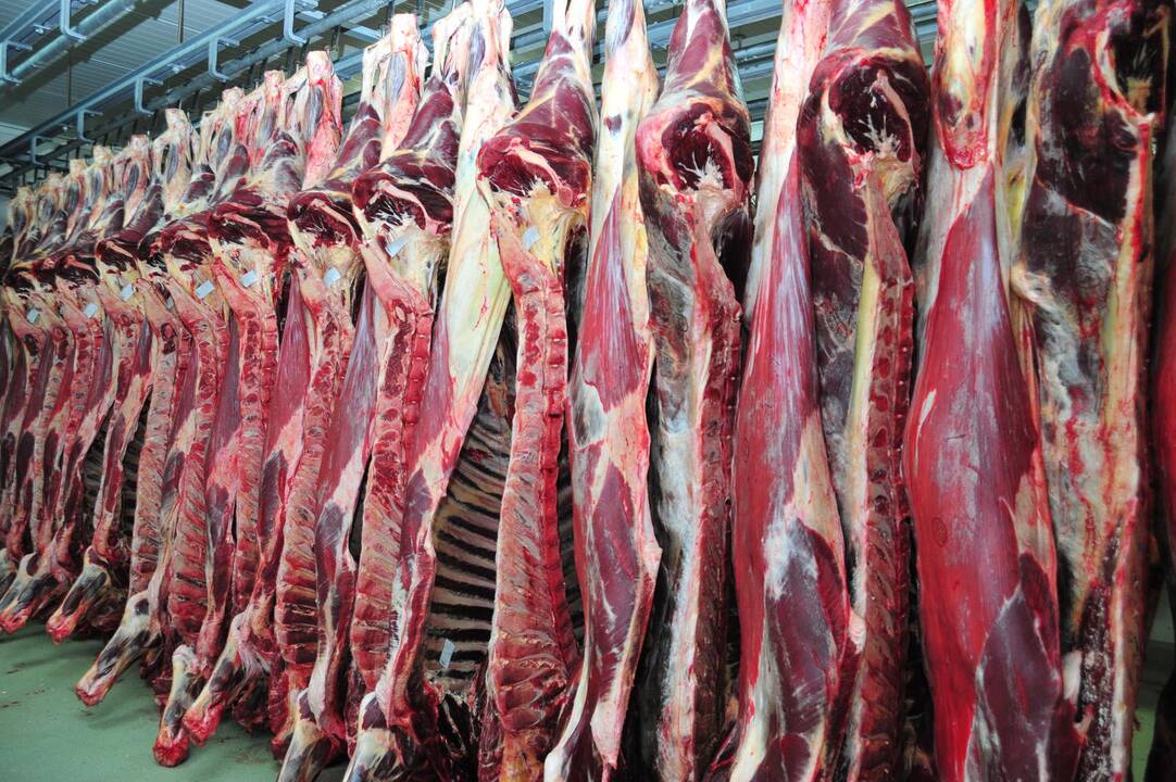 Europos Komisija dėl Rusijos mėsos importo ribojimo kreipsis į PPO