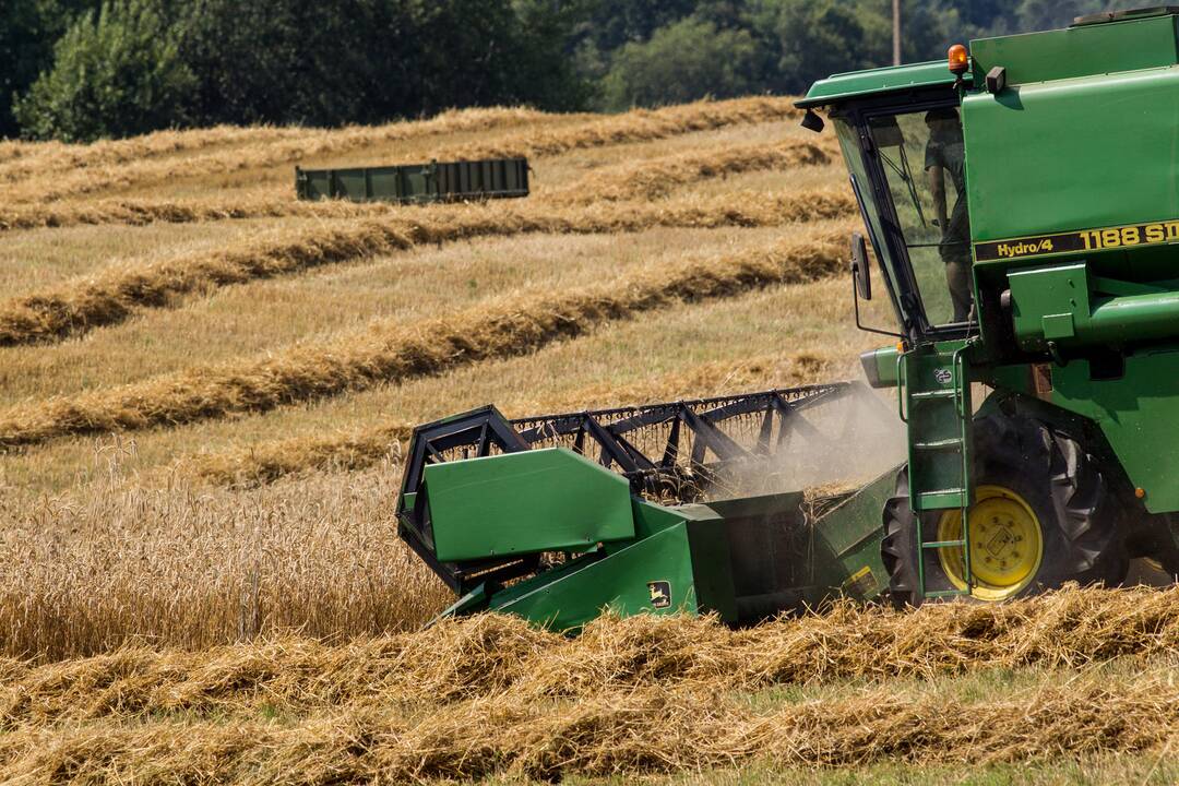 Ūkininkus greitai pasieks beveik pusės milijardo eurų parama