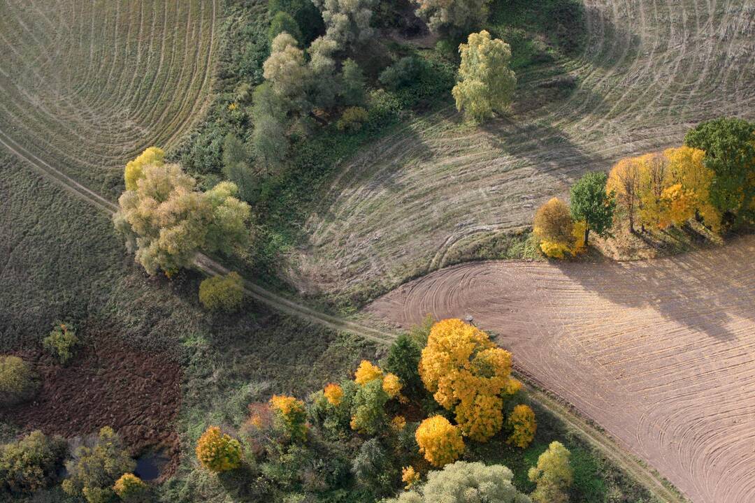 Prasideda žemės mokesčio deklaravimas