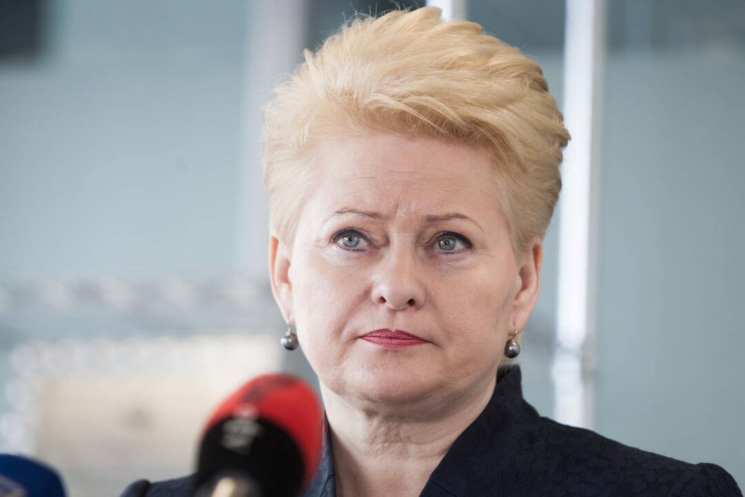 D. Grybauskaitė: kai kurie ES lyderiai galvoja ne apie savo, o apie Rusijos orumą