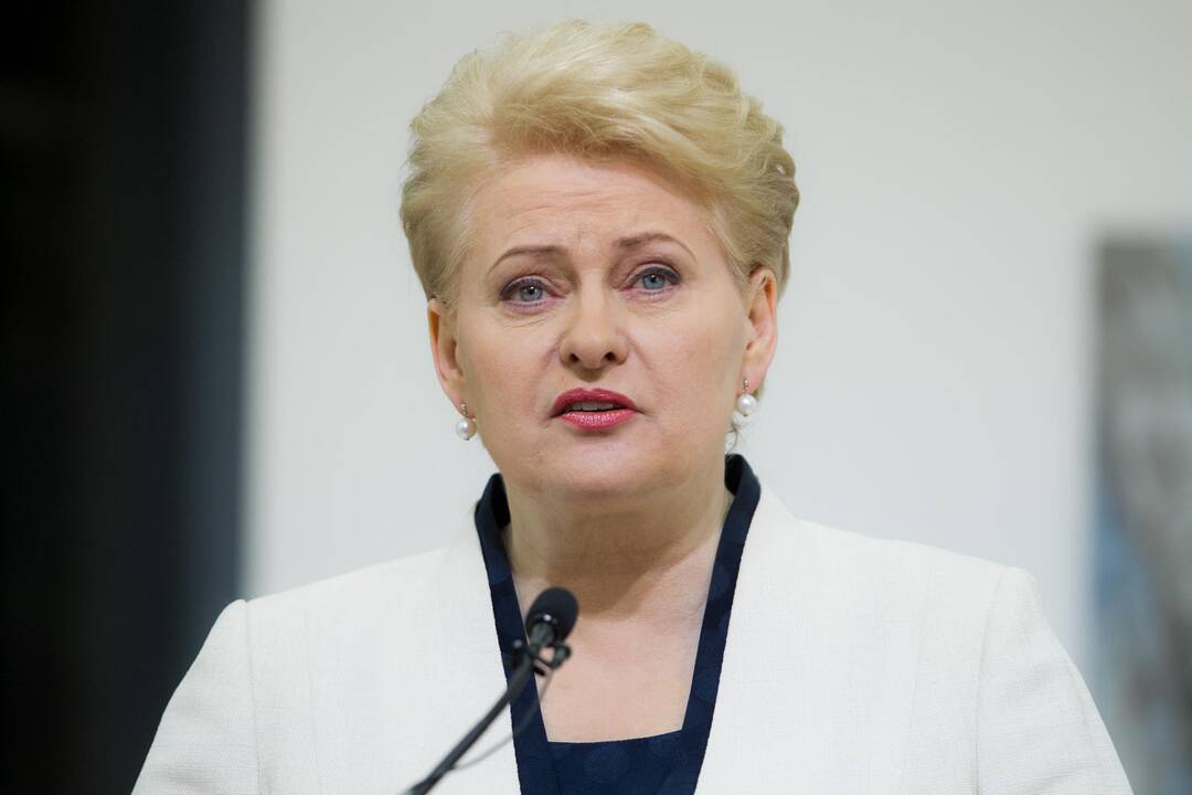 D. Grybauskaitė: Europa pripažins Ukrainos prezidento rinkimus demokratiškais