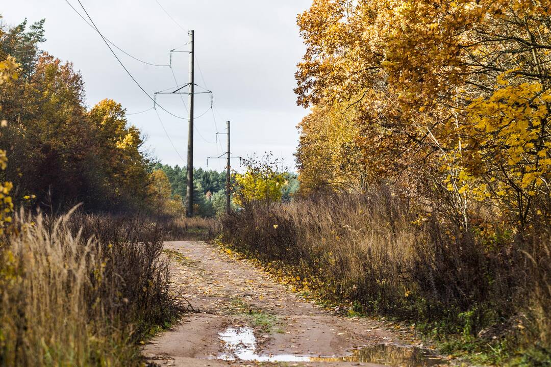 Per metus – 1000 kilometrų papildomai sutvarkytų miško kelių