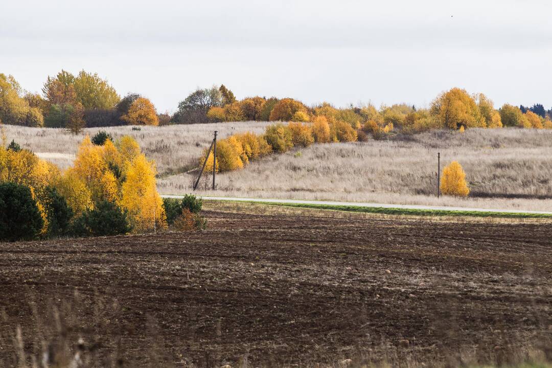 Primena: iki lapkričio 15-osios reikia sumokėti žemės mokestį