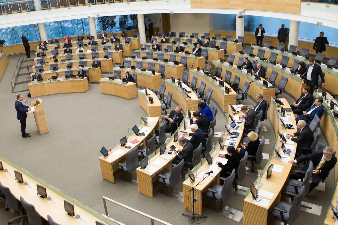 Seimas – prieš įmonių pavadinimus užsienio kalba