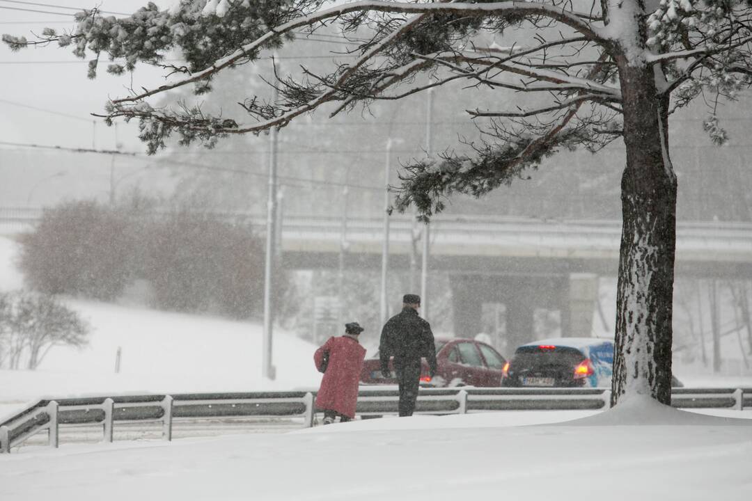 Kas laukia po šiltų žiemos mėnesių?