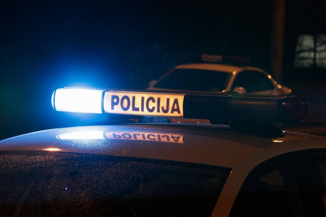 Birštone į Nemuną įvažiavo mikroautobusas