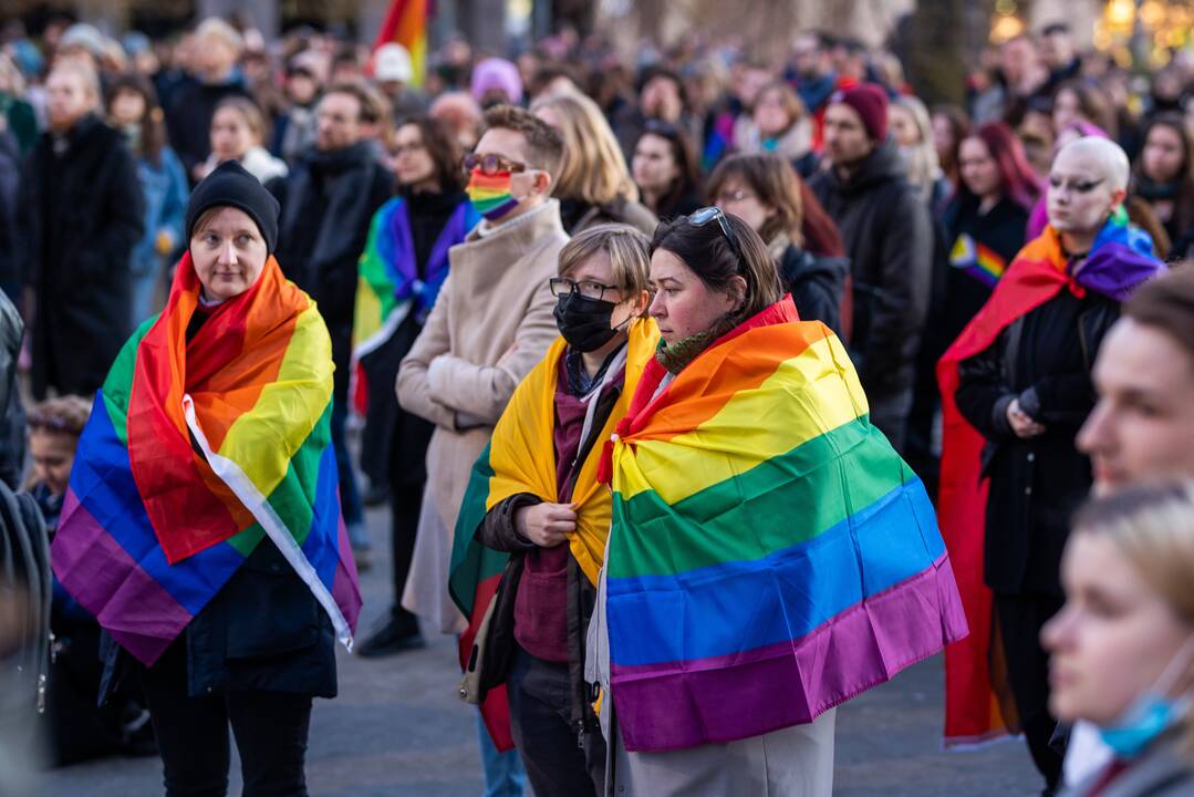 Ekspertė apie Civilinės sąjungos įstatymą: tai keli vandens lašai į dykumą