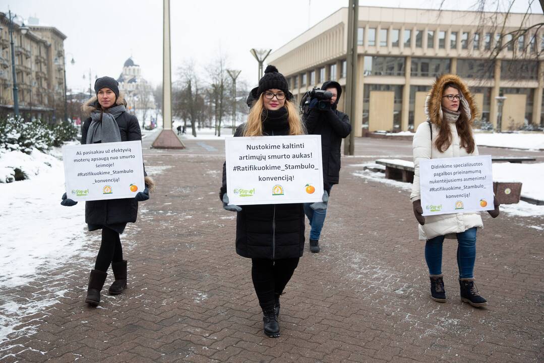 Seimo vadovė: šiuo metu būtų labai rizikinga teikti Stambulo konvenciją ratifikuoti