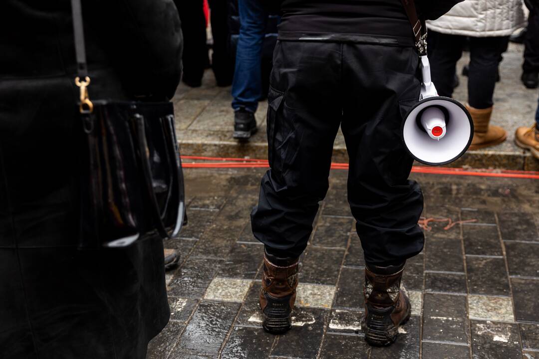 Protestas prie Seimo Sausio 13-ąją