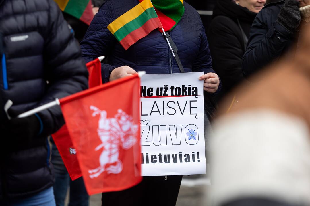 Protestas prie Seimo Sausio 13-ąją