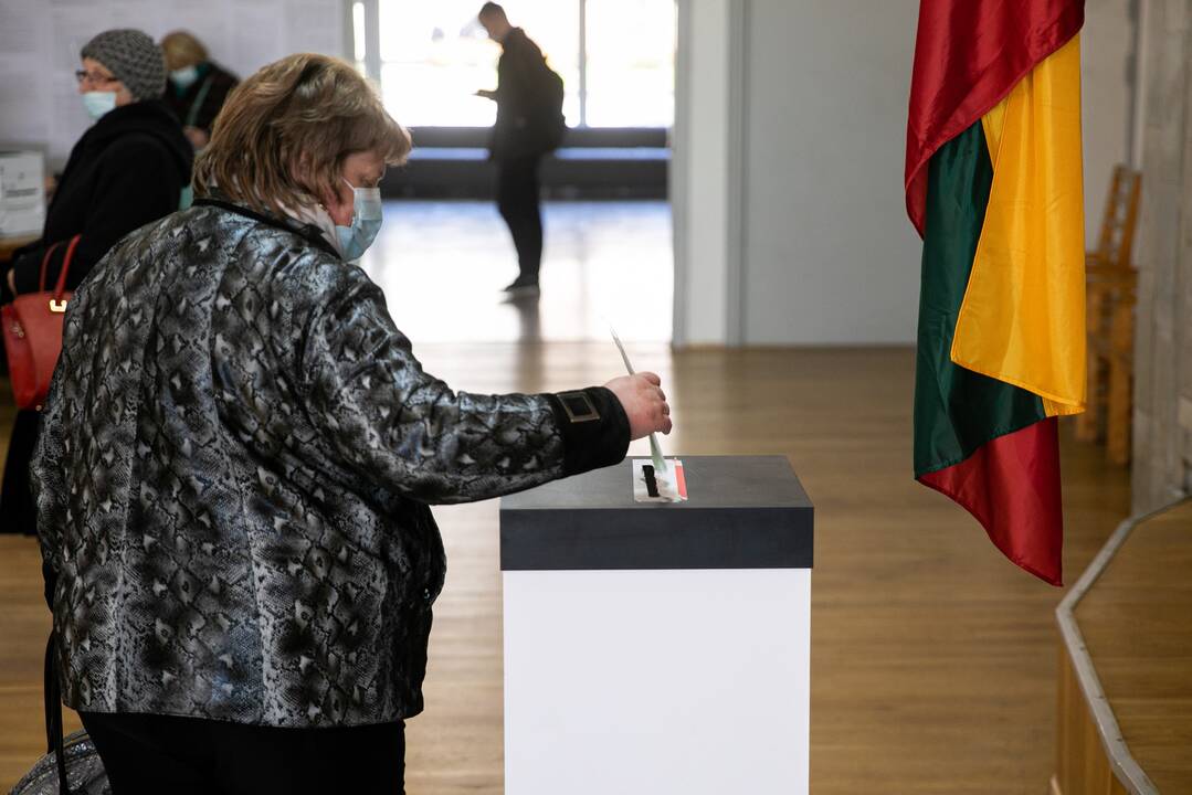 V. Čmilytė-Nielsen: merų klausimą galėtume svarstyti pratęstoje rudens sesijoje
