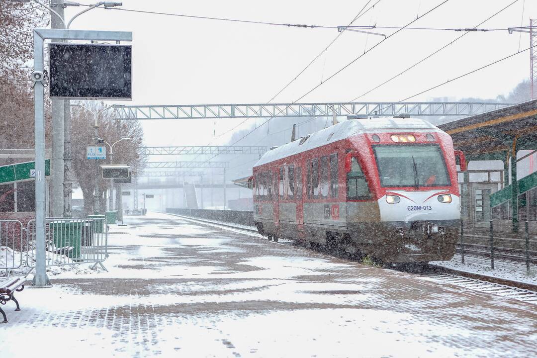 Pirmosios: rogės, minimos dar XIII a. kronikose, buvo viena pirmųjų transporto priemonių Lietuvoje.