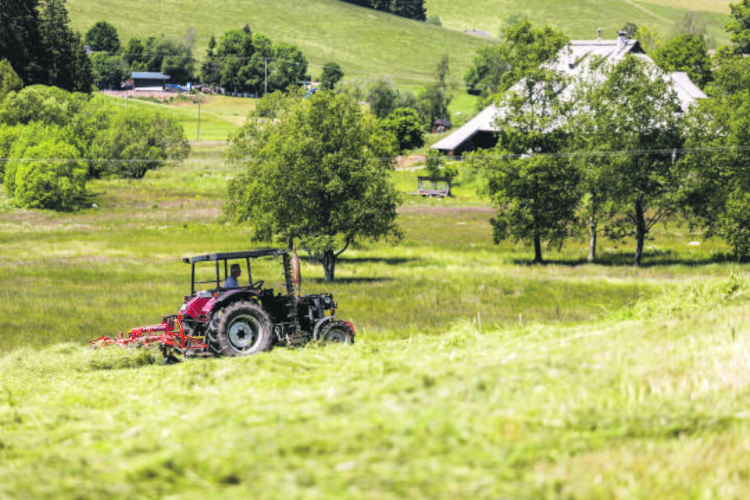Klimato kaita nulems, kaip bus auginamas mūsų maistas