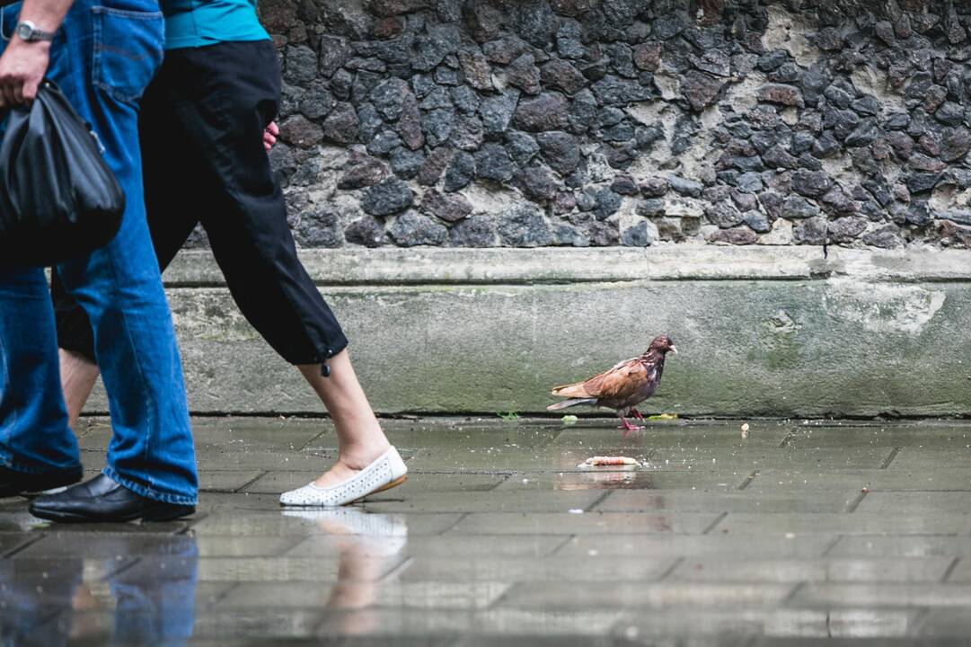 Kauną užklupo stiprus lietus