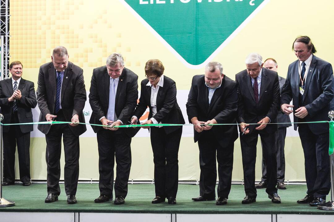 Paroda „Rinkis prekę lietuvišką 2013“