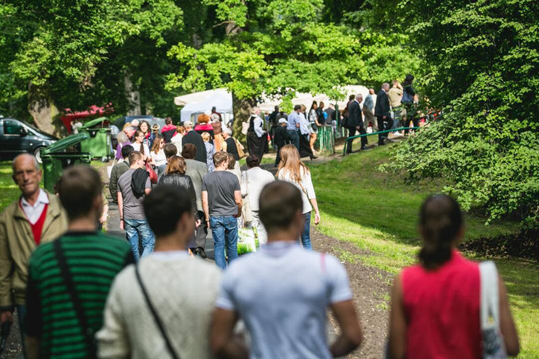 Dainų diena Kaune