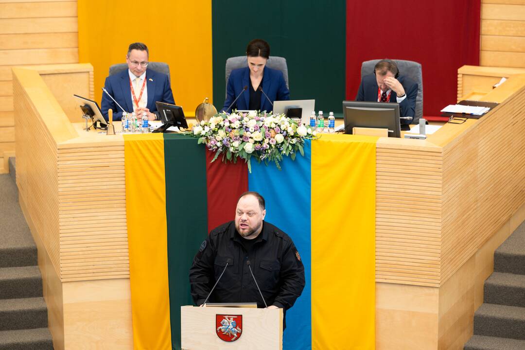 NATO valstybių narių parlamentų pirmininkų aukšto lygio susitikimas Vilniuje
