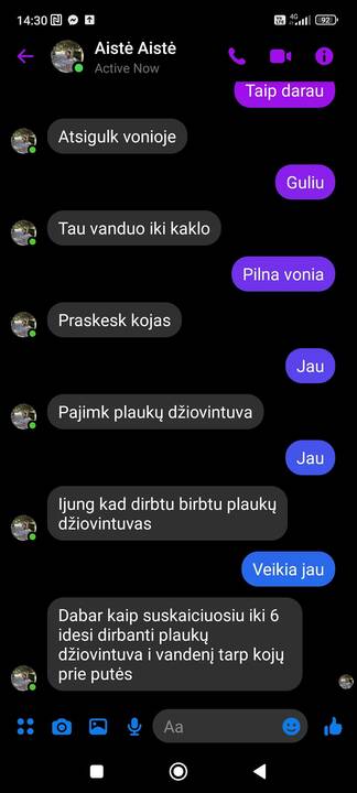 Užfiksavo: tai, kad žaidžia žaidimą „Šaunuolė“ ir neva vykdo „Aistės Aistės“ paliepimus, Dainora teigė apsimetusi dėl pilietiškų paskatų.