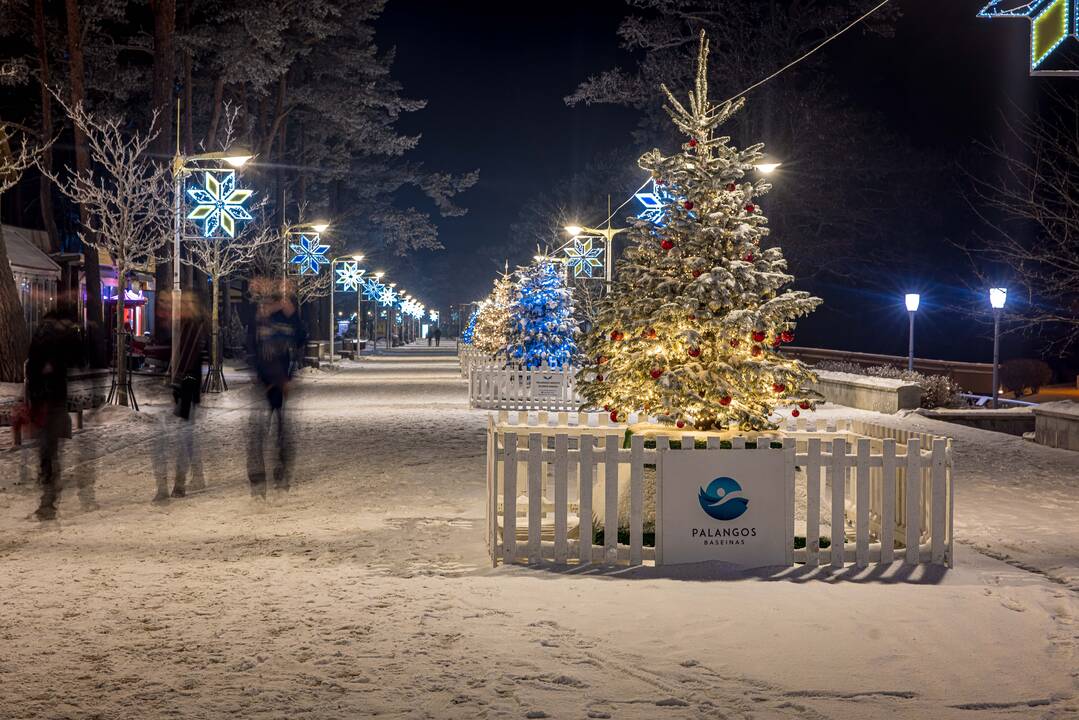 Palangoje įžiebta Kalėdų eglė 2023