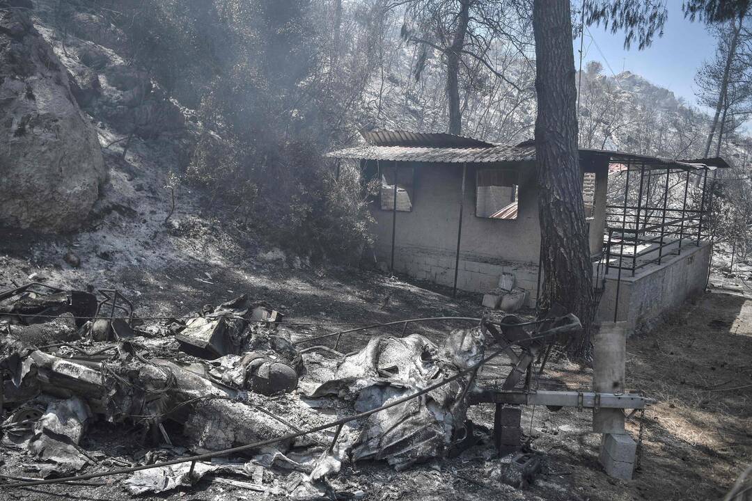 Graikijoje siaučiant miškų gaisrui evakuoti keli kaimai