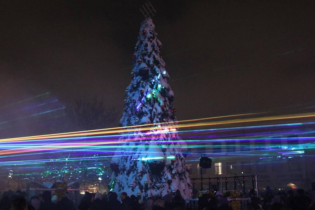 Gargžduose gintaru sužibo Kalėdų eglė 2023