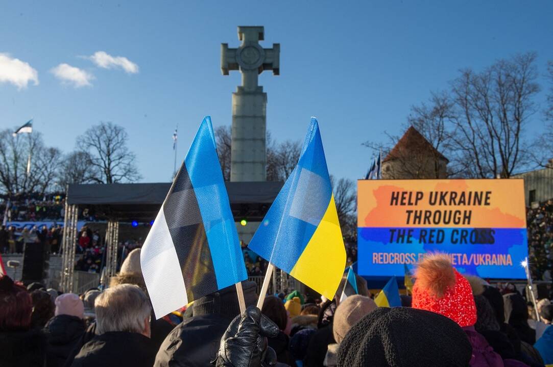 Estijos parlamentas oficialiai paragino JT virš Ukrainos paskelbti neskraidymo zoną