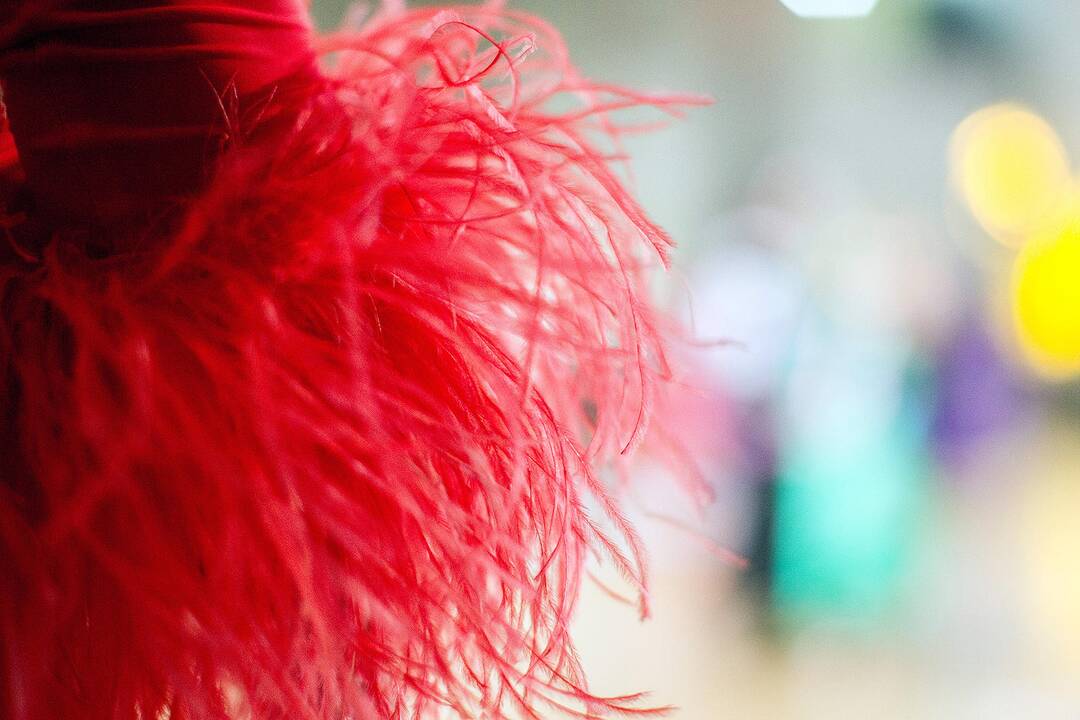 „Rudens taurė 2019“. Sportiniai šokiai